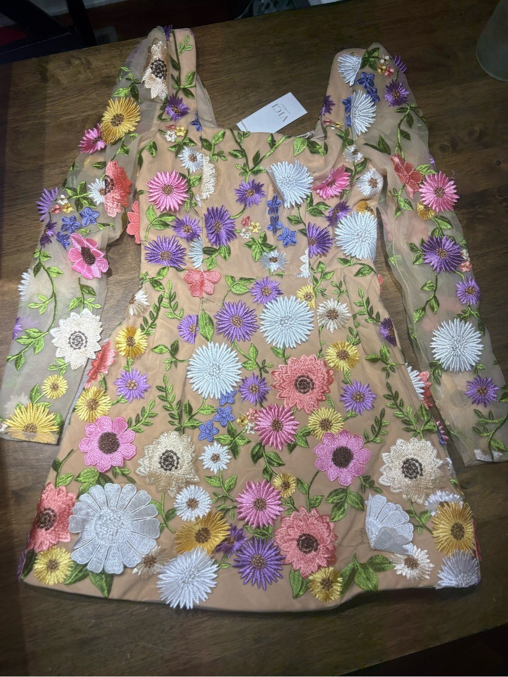 VICI Sheer Floral Mini Dress in Nude with Multicolor Embroidery